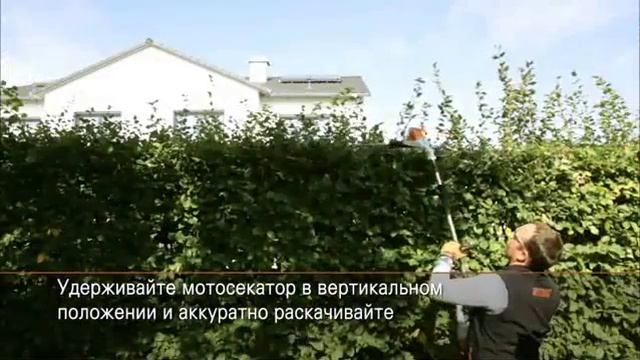 Аккумуляторные удлиненные ножницы STIHL HLA 65, рез над головой с наклоненным ножом смотреть онлайн