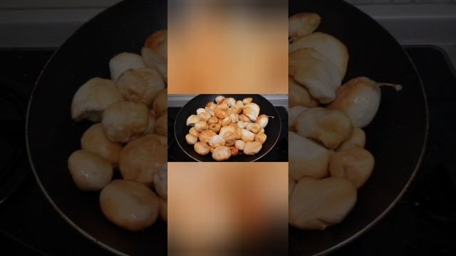 ГРИБ ДОЩОВИК, користь і протиріччя. #гриби #грибиукраїни #дощовик #грибалка смотреть онлайн