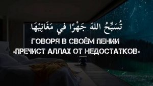 Не печалься о этом мире Хамад Аль-Джабари.