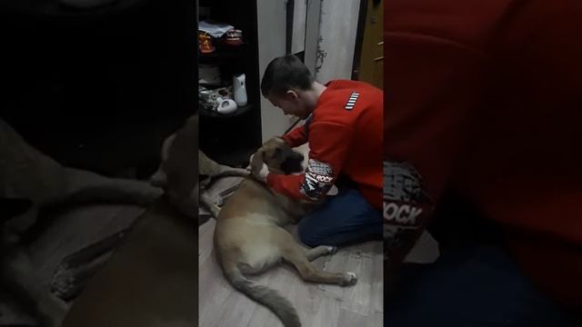 26 апреля 2020 г..mp4 смотреть онлайн