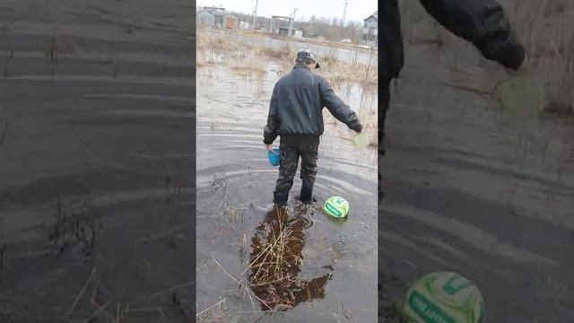 Как ловить лягушек смотреть онлайн