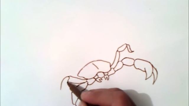Как нарисовать скорпиона смотреть онлайн