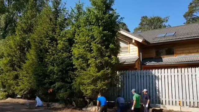 Посадка Ёлок с помощью манипулятора смотреть онлайн