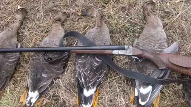 ⭐️ ИЖ-54 СЛАВНОЕ РУЖЬЕ ИЗ СОВЕТСКОГО СОЮЗА! смотреть онлайн