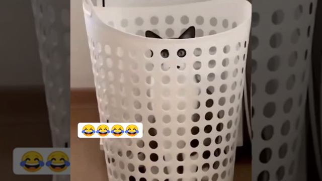 замаскировался смотреть онлайн