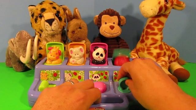 Zoo Animal Pop Up Toy смотреть онлайн