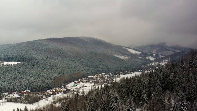 Стая волков окружила маленькую избушку. Причина шокировала всех! смотреть онлайн