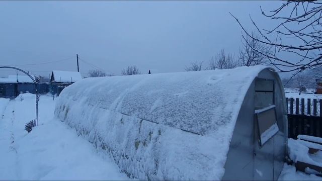 61. Виноград в январе. Баня 02.01.22. открытие сезона..mp4 смотреть онлайн