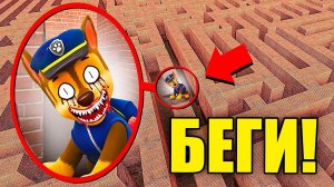 ЕСЛИ УВИДИШЬ ЭТОТ СТРАШНЫЙ ЩЕНЯЧИЙ ПАТРУЛЬ В ЛАБИРИНТЕ, СРОЧНО БЕГИ! УГАР И БЕЗУМИЕ В Garry`s Mod