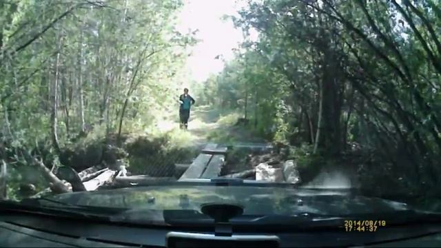 Honda Cr-v Rd1 по лесу
