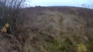 открытие ОХОТЫ НА Зайца!!!   ходовая охота с ягдтерьером 720p