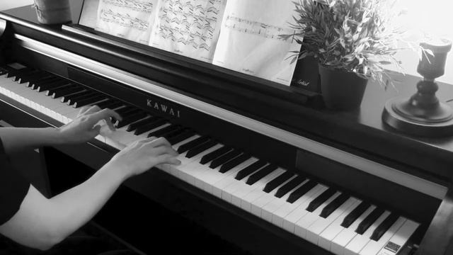 Amelie Piano Cover | La valse d'Amelie | 영화 아멜리에 피아노 смотреть онлайн