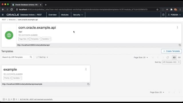 SQL Developer Web - REST Workshop Overview 20.3.0 смотреть онлайн