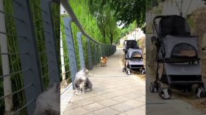 Да мне тут и не хотелось идти