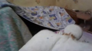 Делаю домик из подушек и одеяла