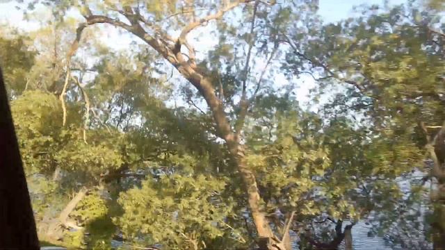 Почему дети ругаются матом? смотреть онлайн