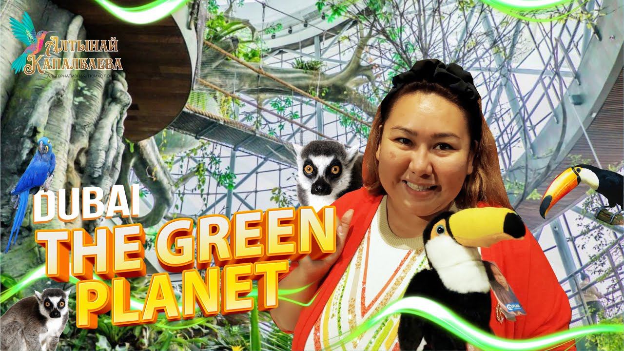 Green Planet - настоящий тропический лес в Дубае смотреть онлайн