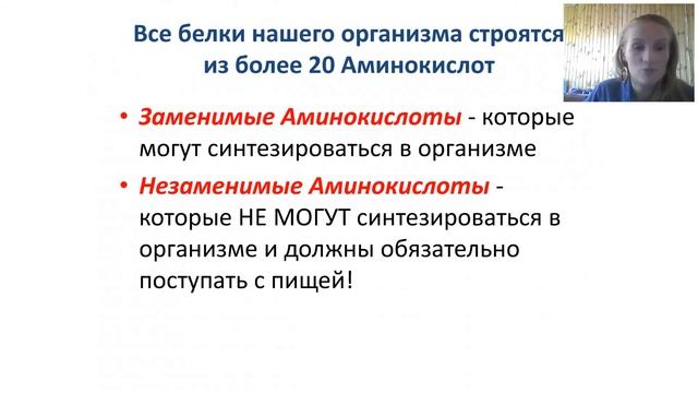 Роль белка в жизни человека. Анастасия Лобовикова смотреть онлайн