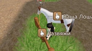 влог с конюшни/ новый тренер / переезд?.. / wild horses island / roblox / RP