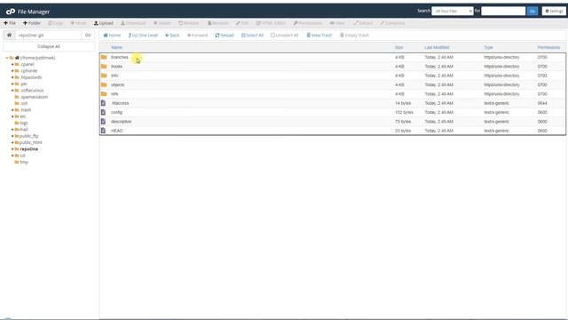 Git Version Control and Manage GitHub Repositories - cPanel (Urdu/Hindi) смотреть онлайн