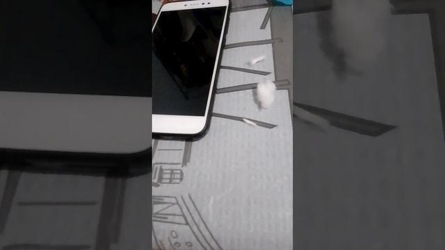 как почистить разъём в телефоне для зарядки дома с подручными средствами. смотреть онлайн