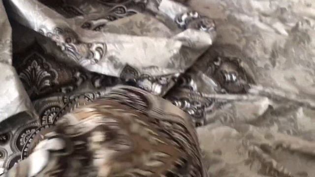 Постельное белье своими руками. смотреть онлайн