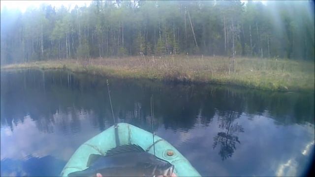 Ленинградская обл.рыбалка три озера 2017 Окуни щучки.Пеший поход на природу! смотреть онлайн