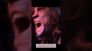 Ступин.mp4