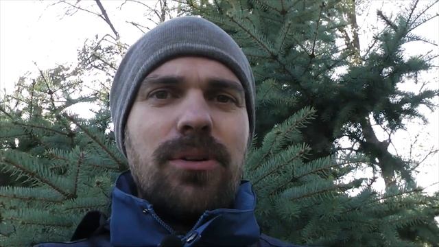 Как решить проблему эмоциональной зависимости от мамы? смотреть онлайн