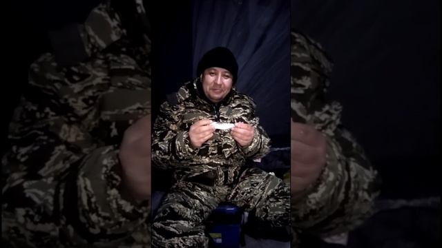 "Омуль Сибирский". смотреть онлайн