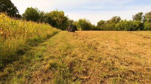 Заготовка сена мотоблоком грабли солнышко