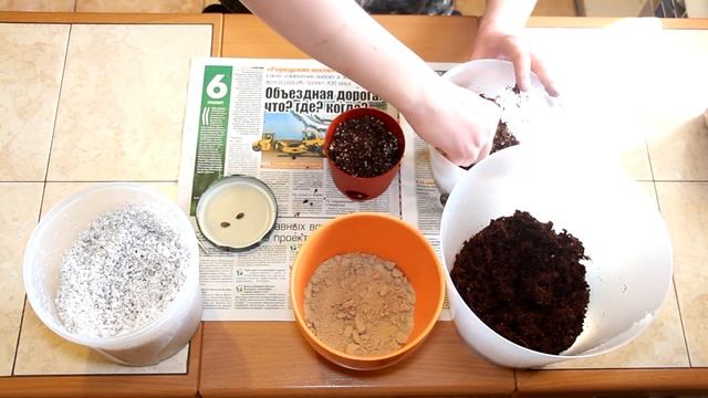 Habenaria radiata Aoba. Как посадить?? смотреть онлайн