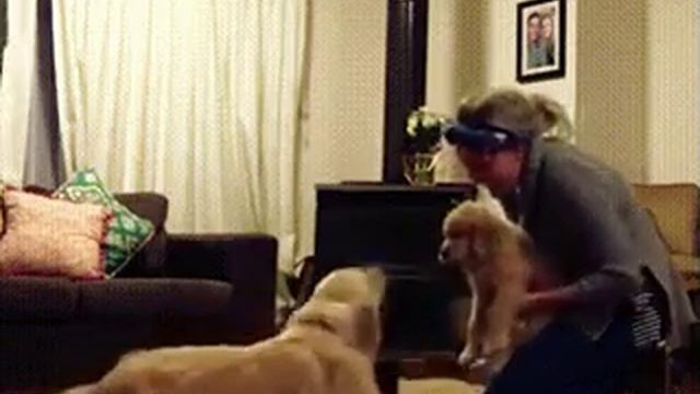 Когда появился щенок смотреть онлайн