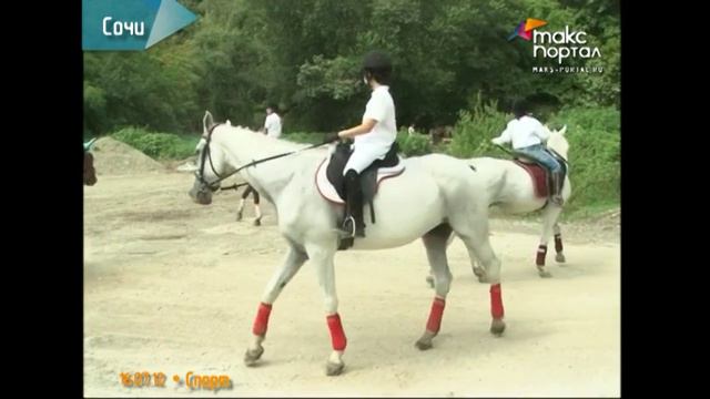 Конно-спортивной школе Сочи исполнилось 20 лет смотреть онлайн