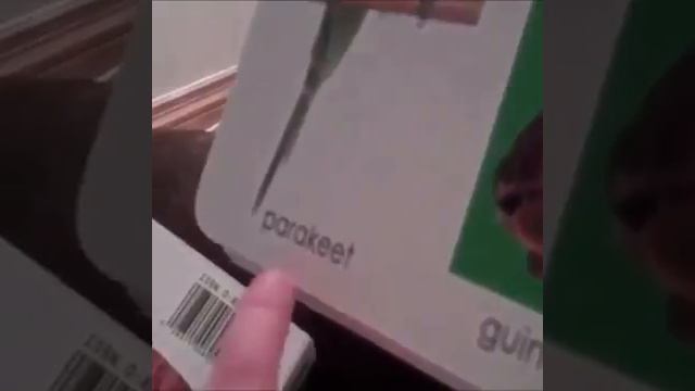 Kid spells out parakeet and says penguin смотреть онлайн