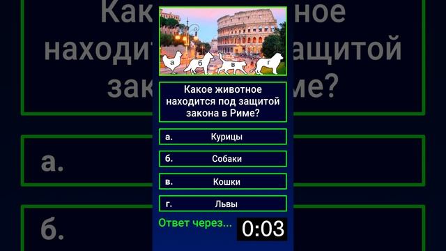Какое животное находится под защитой закона в Риме? смотреть онлайн