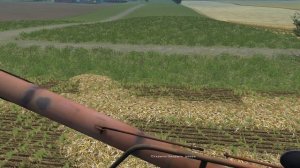 УБОРОЧНАЯ СТРАДА НА КОМБАЙНЕ НИВА СК-5 [FS-13]