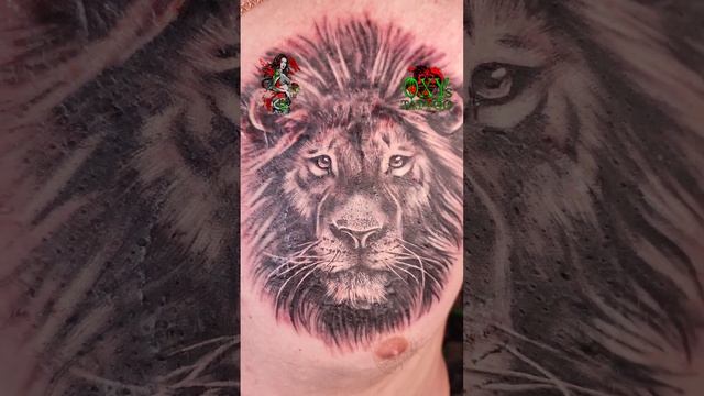 Scar cover up with a lion tattoo #shorts смотреть онлайн