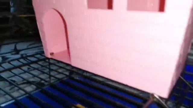 КРЫСЫ ДАМБО смотреть онлайн