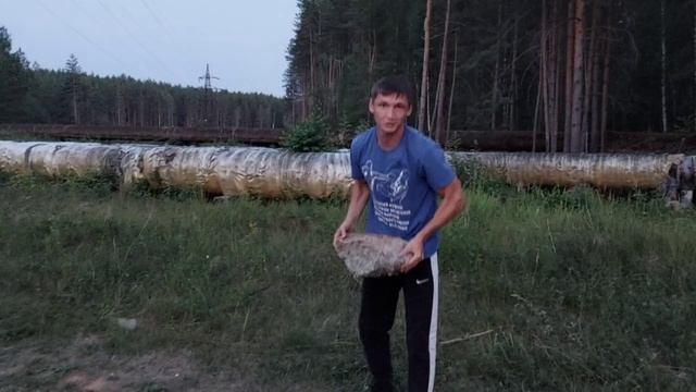 Тренировка в домашних условиях смотреть онлайн