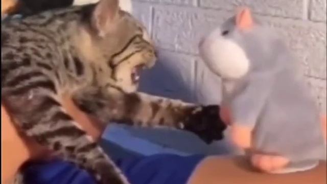 Пятница,спорт души смотреть онлайн