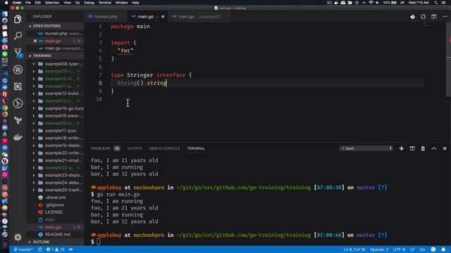 用 PHP 範例學習 Go 語言 Interface 三大特性 смотреть онлайн