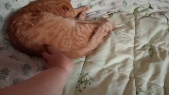 Запорожье. 20.05.23. В городе тихо. Дела коробочные . Василий и носки . смотреть онлайн