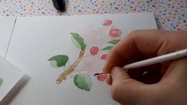 Акварель для начинающих. Как нарисовать веточку цветущей ЯБЛОНИ смотреть онлайн