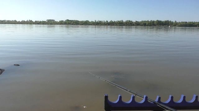 Начало сезона 2020 рыбалка на фидер. Клуб Омская рыбалка. #OmskFish смотреть онлайн