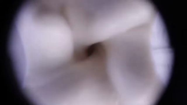 超級小黑冰沙機/全自動變速攪拌,打冰沙不需用攪拌棒 смотреть онлайн