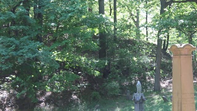 Spider Web Flow at Mt Hope Cemetery смотреть онлайн