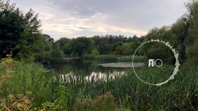 Nature-Inspired Relaxation: Serene Music for Inner Harmony. Music for meditation смотреть онлайн