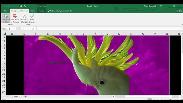 Cara Hapus Background Foto Dari Excel смотреть онлайн