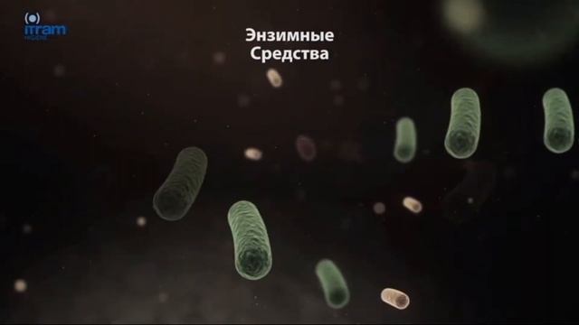 ЭНЗИМЫ РАЗРУШАЮТ МИКРОБНУЮ БИОПЛЁНКУ смотреть онлайн